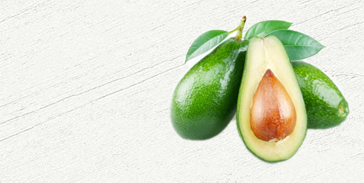 ELM Organic V2 organic2 h banner4 1