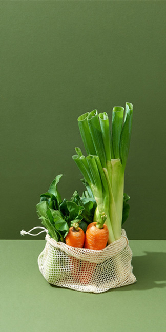 ELM Organic V2 23 ELM Organic V2 organic2 v banner1