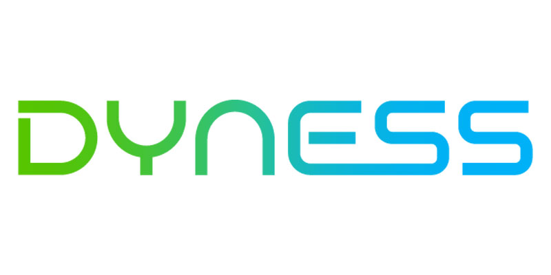 Acasă 34 Baterii Dyness